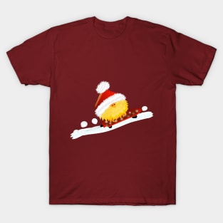 Bird with Christmas Hat on Skeateboard T-Shirt